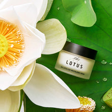 Load image into Gallery viewer, Jeju Lotus Leaf Revitalizing Cream