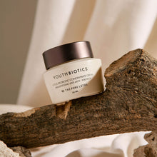 Load image into Gallery viewer, YOUTHBIOTICS Lotus Probiotic  Concentrate Cream
